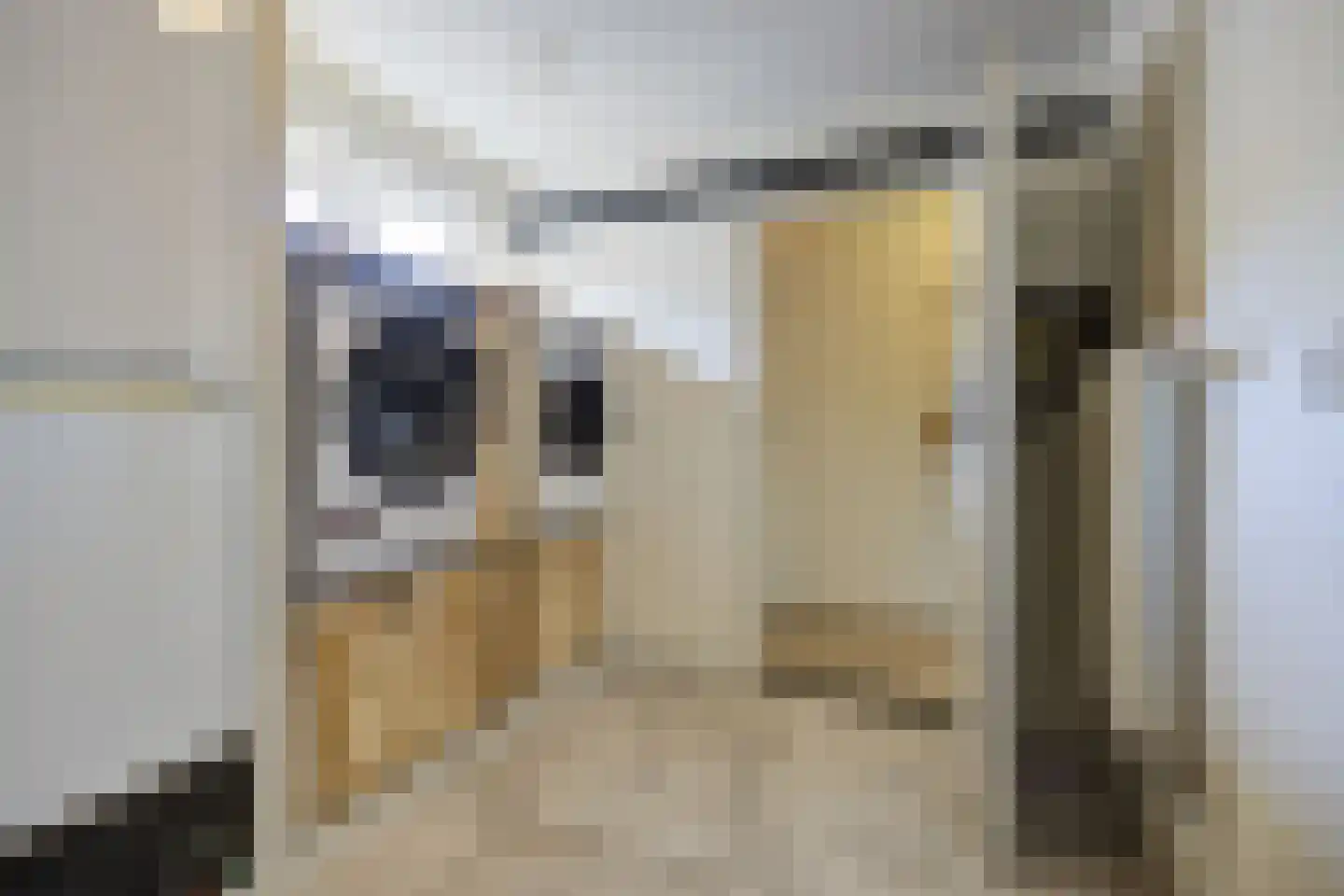 Van den Elsenstraat 16 Etten-Leur thumbnail 24