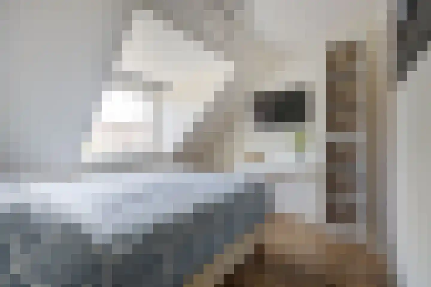 Van den Elsenstraat 16 Etten-Leur thumbnail 26