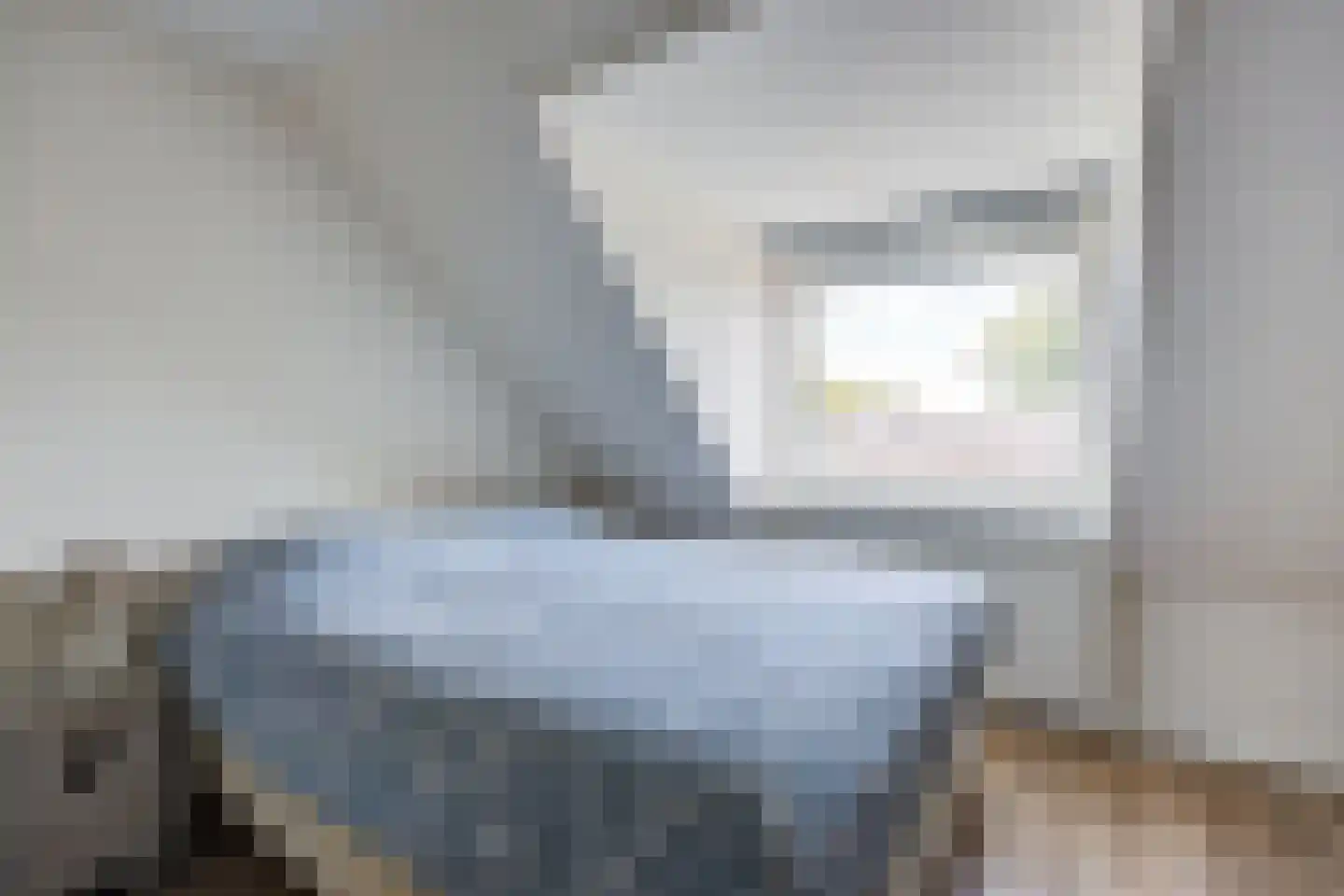 Van den Elsenstraat 16 Etten-Leur thumbnail 27