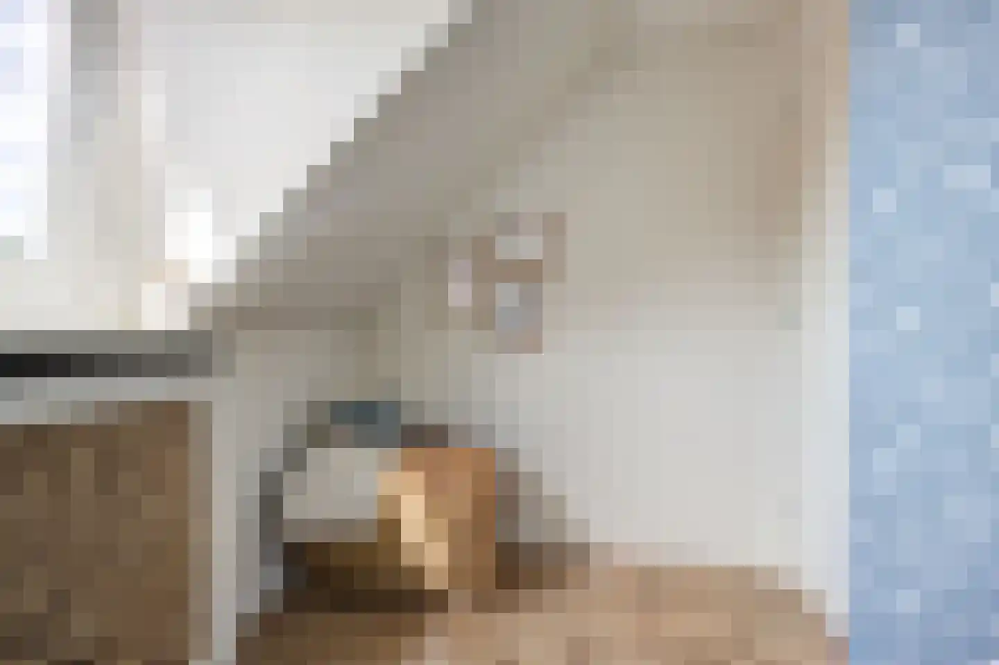 Van den Elsenstraat 16 Etten-Leur thumbnail 31