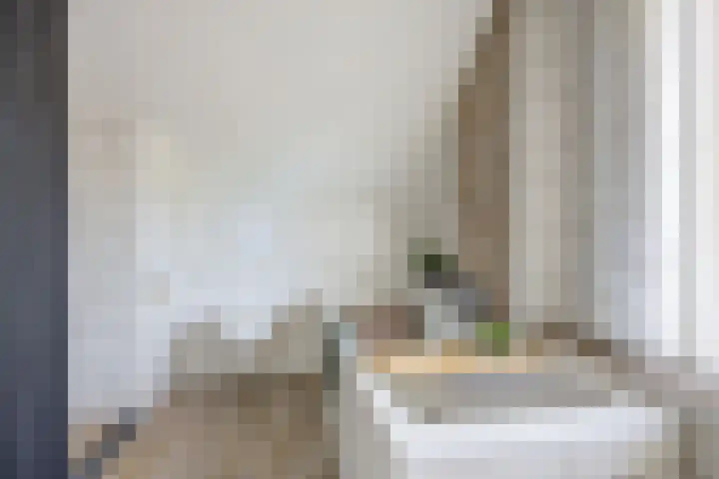 Van den Elsenstraat 16 Etten-Leur thumbnail 32