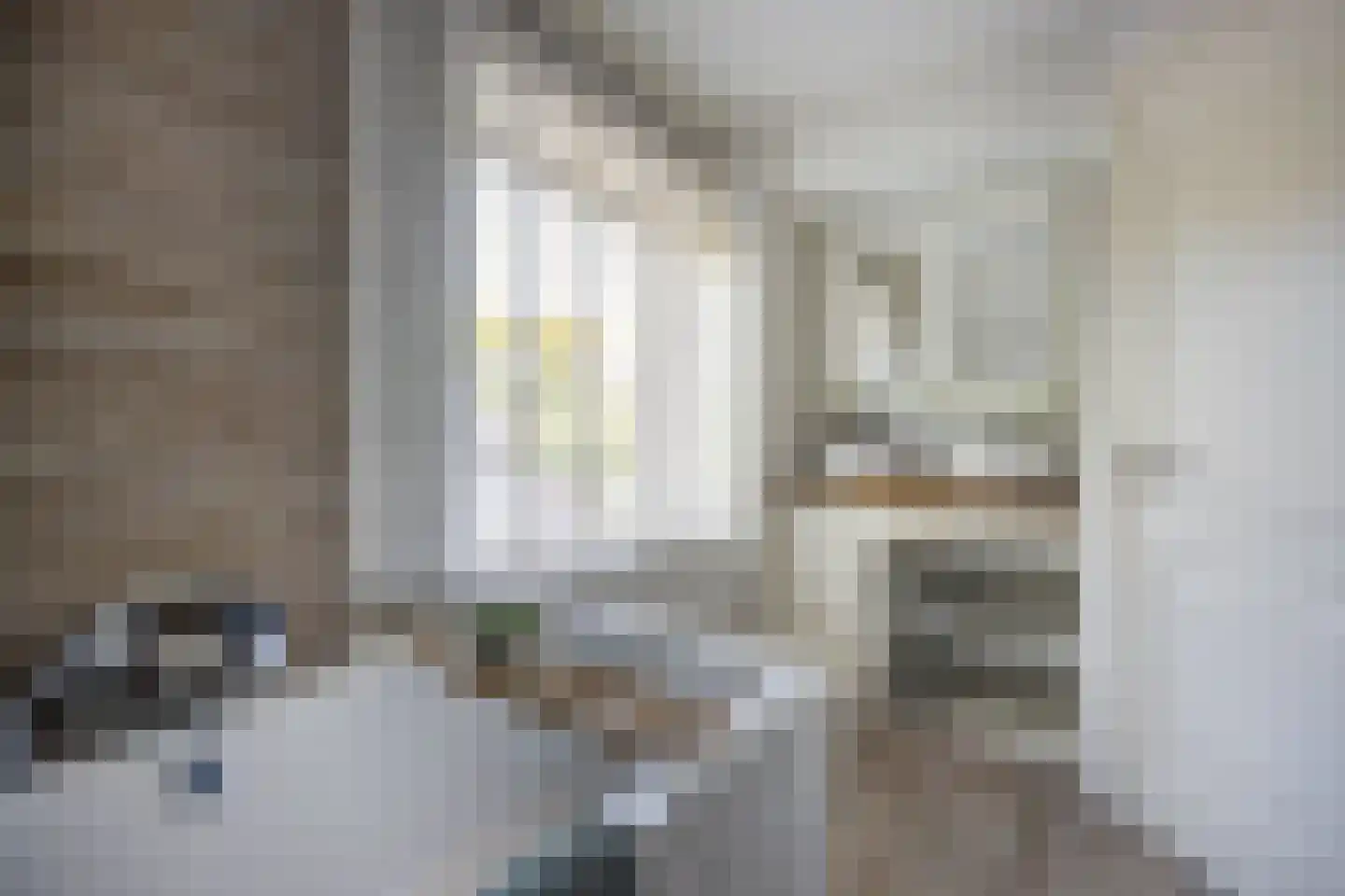 Van den Elsenstraat 16 Etten-Leur thumbnail 33