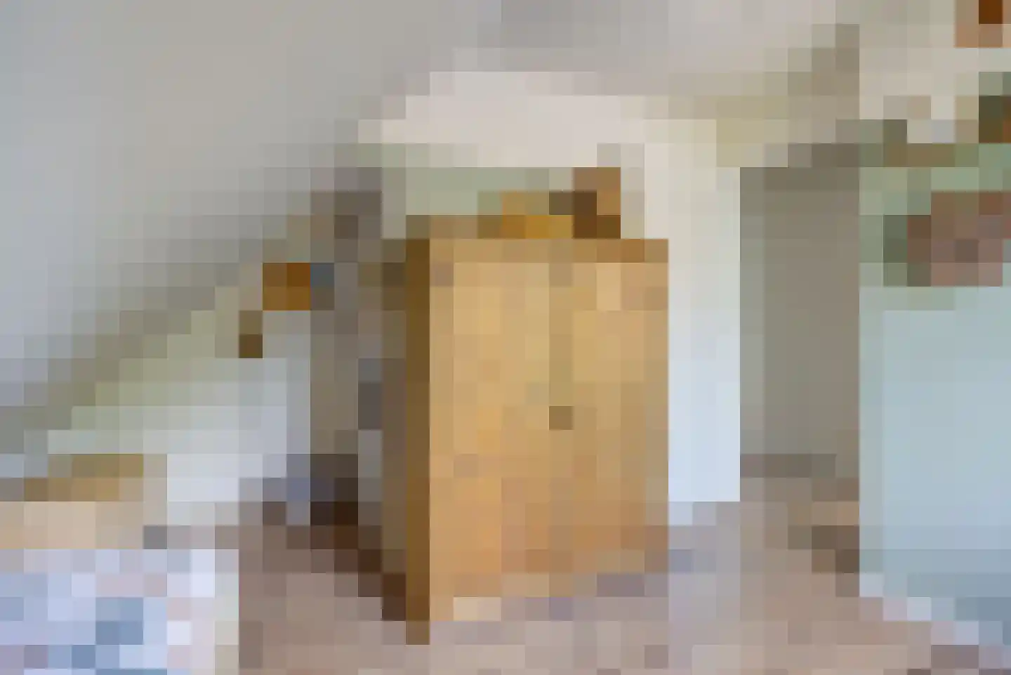 Van den Elsenstraat 16 Etten-Leur thumbnail 37