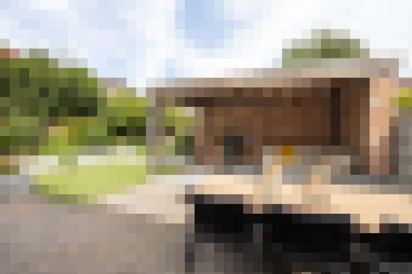 Van den Elsenstraat 16 Etten-Leur thumbnail 41