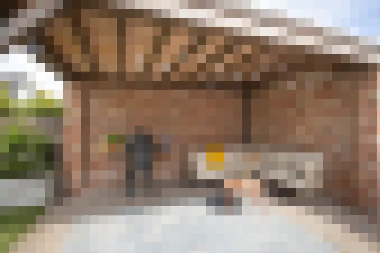 Van den Elsenstraat 16 Etten-Leur thumbnail 42