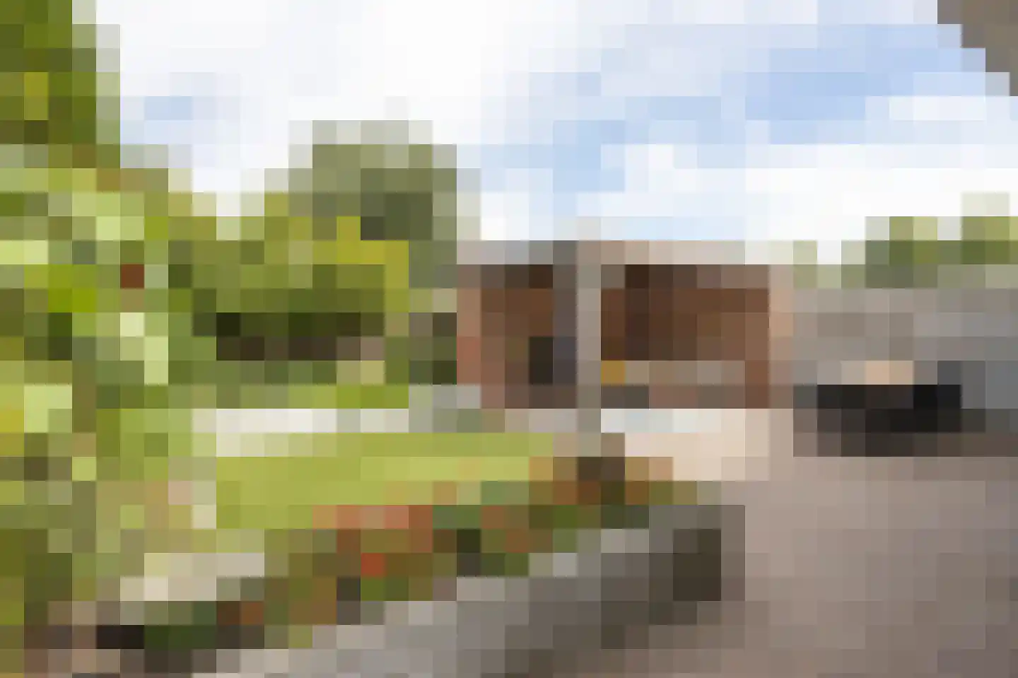 Van den Elsenstraat 16 Etten-Leur thumbnail 43