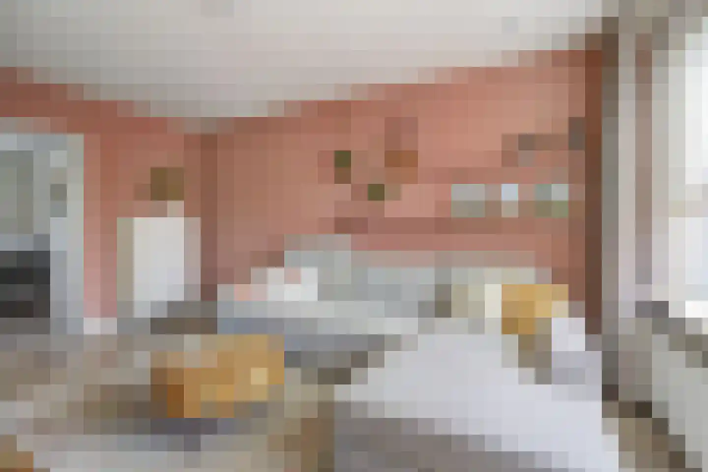 Van den Elsenstraat 16 Etten-Leur thumbnail 8