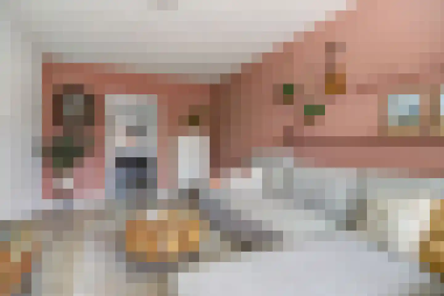 Van den Elsenstraat 16 Etten-Leur thumbnail 9