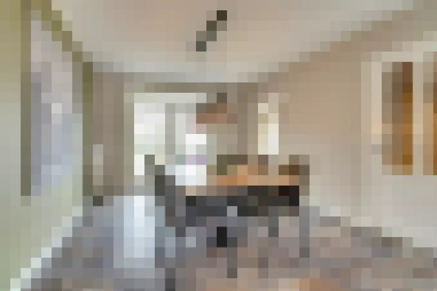 Van den Elsenstraat 2 C Hapert thumbnail 11