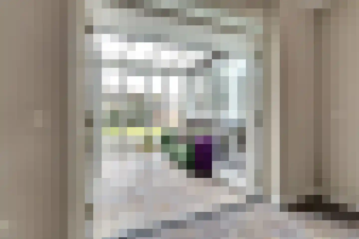 Van den Elsenstraat 2 C Hapert thumbnail 12