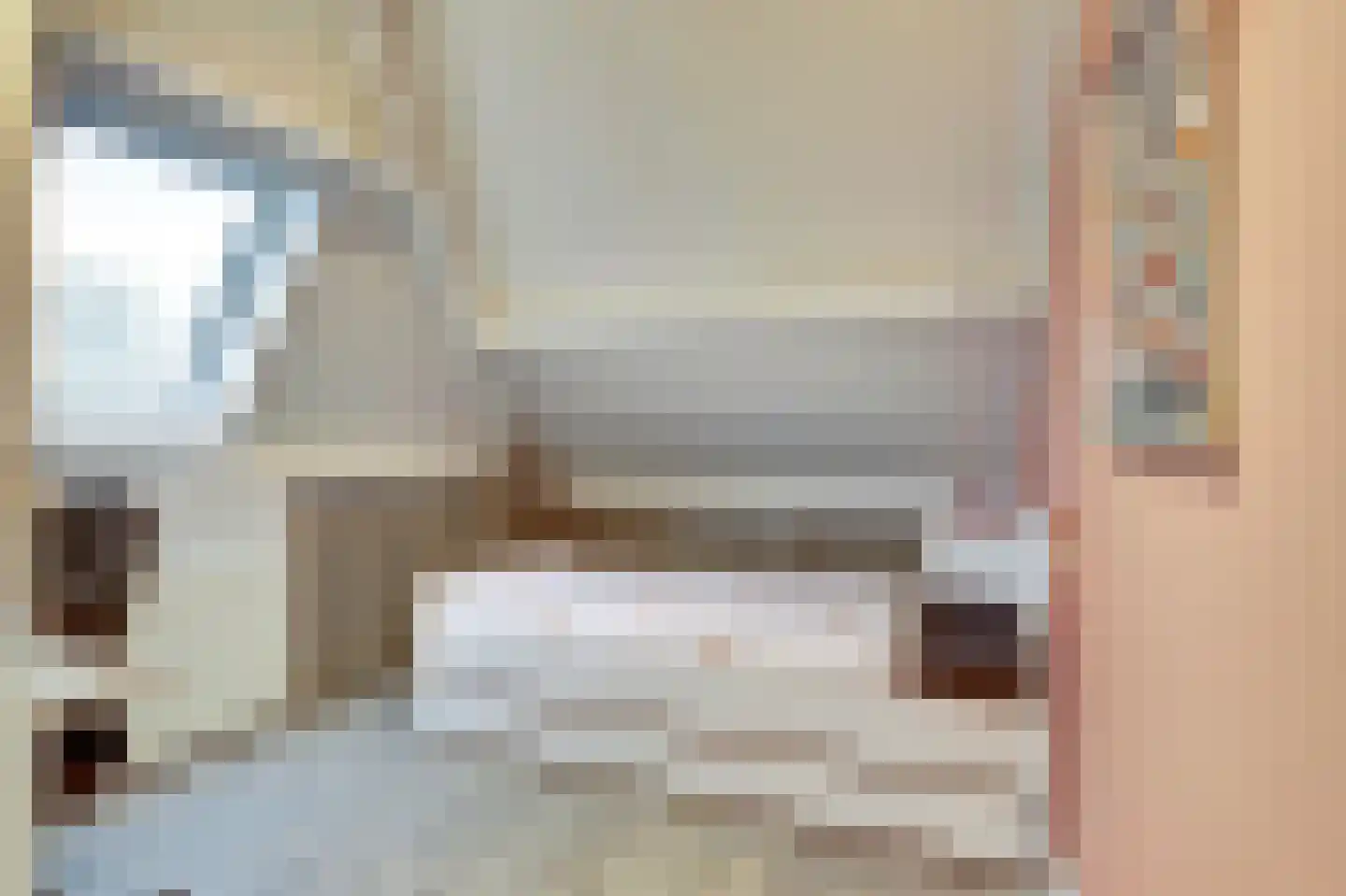 Van den Elsenstraat 2 C Hapert thumbnail 38