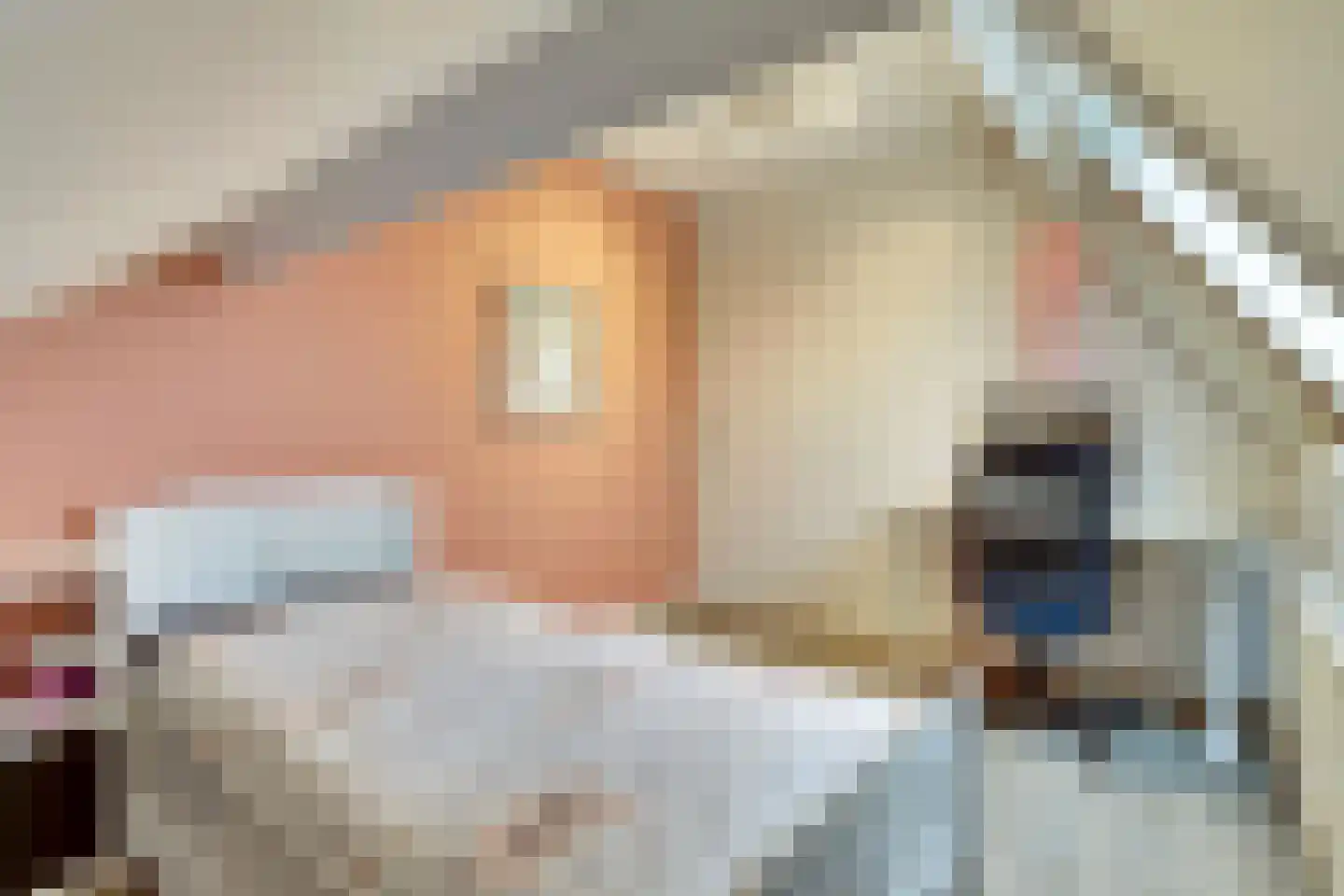 Van den Elsenstraat 2 C Hapert thumbnail 39