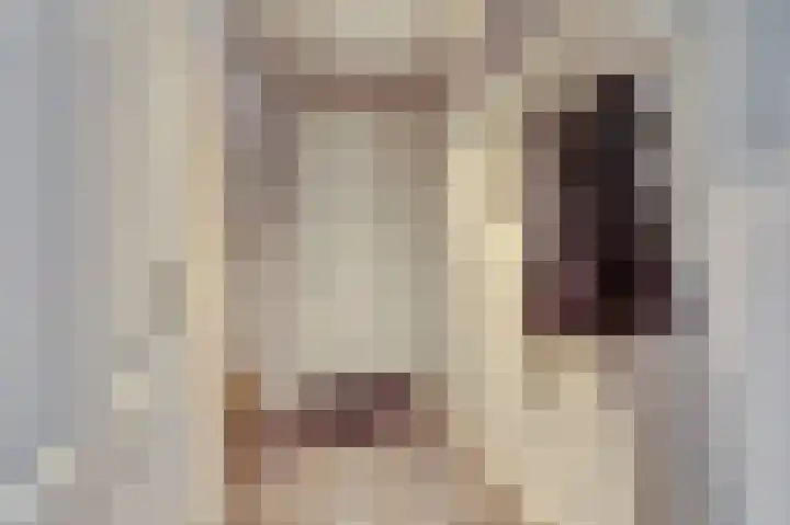 Van den Elsenstraat 2 C Hapert thumbnail 4