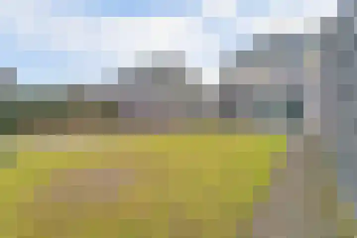 Van den Elsenstraat 2 C Hapert thumbnail 45