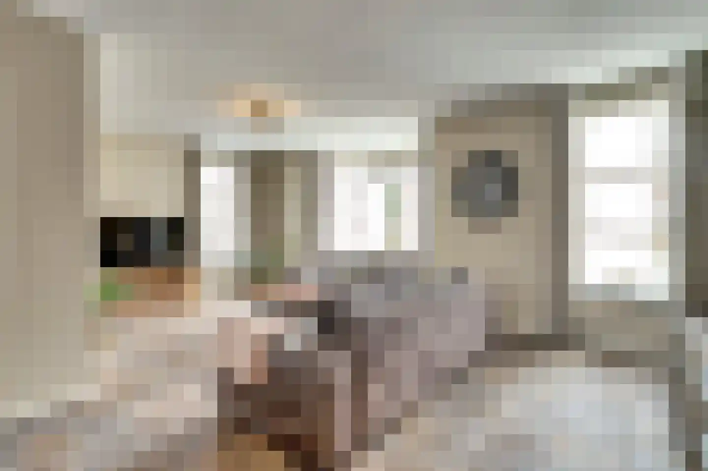 Van den Elsenstraat 2 C Hapert thumbnail 7