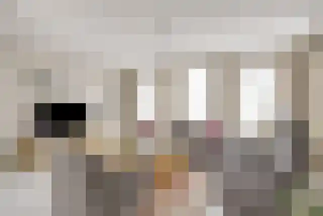 Van den Elsenstraat 2 Hapert thumbnail 10