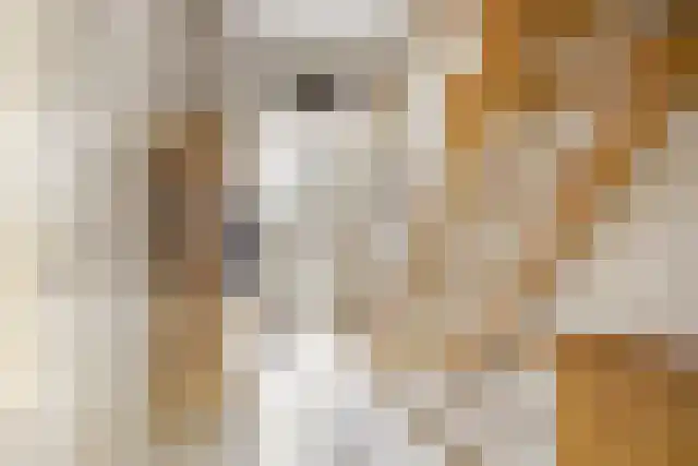 Van den Elsenstraat 2 Hapert thumbnail 6