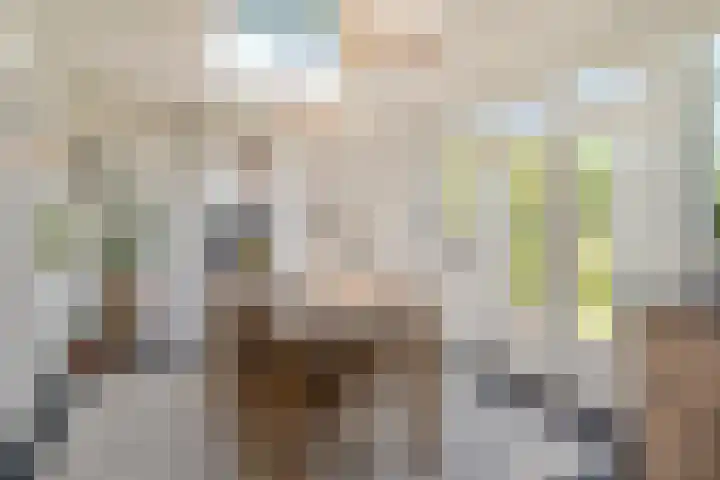 Van den Elsenstraat 20 Diessen thumbnail 15