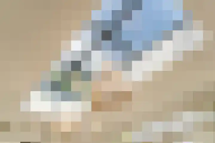 Van den Elsenstraat 20 Diessen thumbnail 16