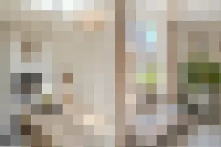 Van den Elsenstraat 20 Diessen thumbnail 17