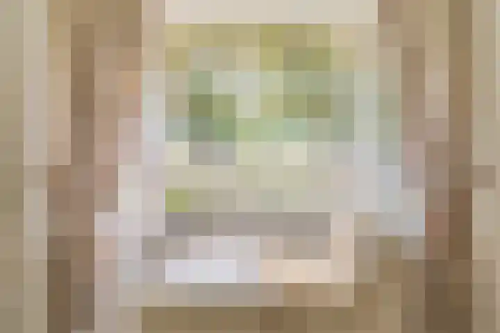 Van den Elsenstraat 20 Diessen thumbnail 20