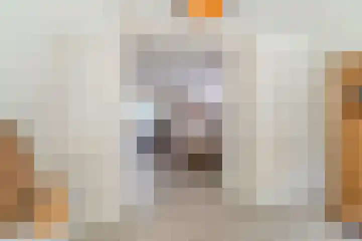Van den Elsenstraat 20 Diessen thumbnail 21