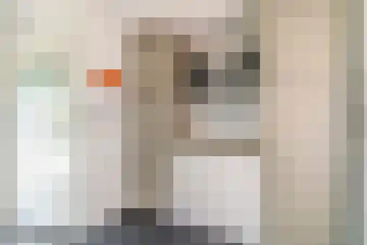 Van den Elsenstraat 20 Diessen thumbnail 22