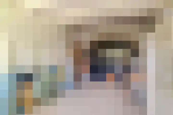 Van den Elsenstraat 20 Diessen thumbnail 24