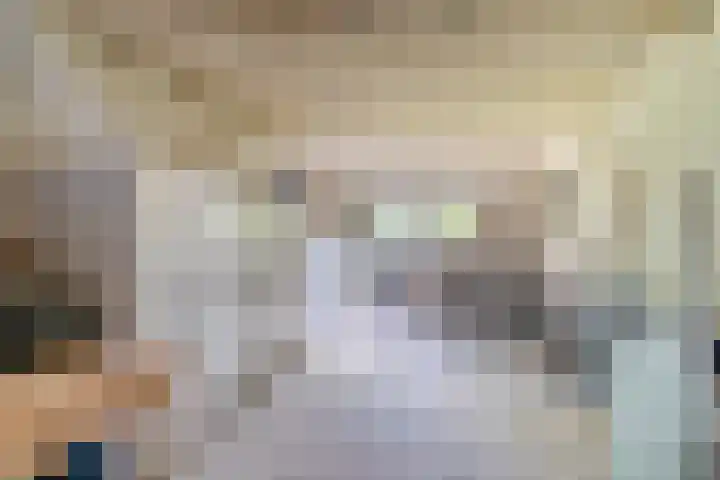 Van den Elsenstraat 20 Diessen thumbnail 25