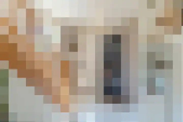 Van den Elsenstraat 20 Diessen thumbnail 29