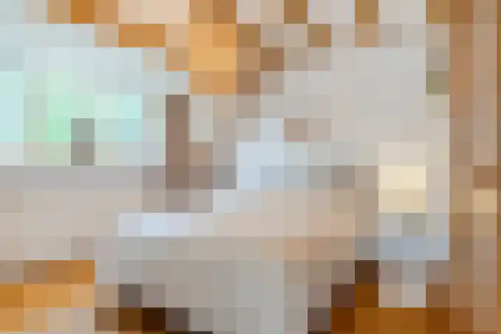 Van den Elsenstraat 20 Diessen thumbnail 31