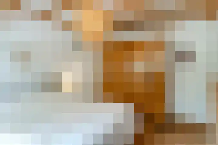 Van den Elsenstraat 20 Diessen thumbnail 33