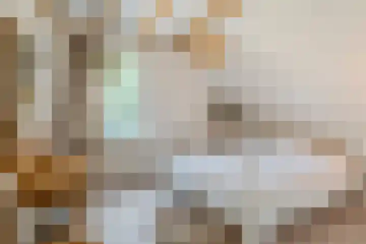 Van den Elsenstraat 20 Diessen thumbnail 34