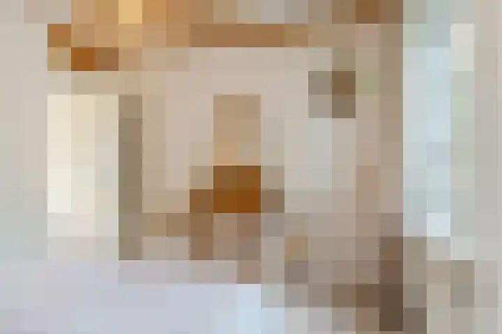 Van den Elsenstraat 20 Diessen thumbnail 35