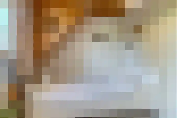 Van den Elsenstraat 20 Diessen thumbnail 37