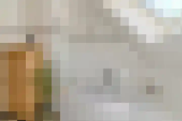 Van den Elsenstraat 20 Diessen thumbnail 39