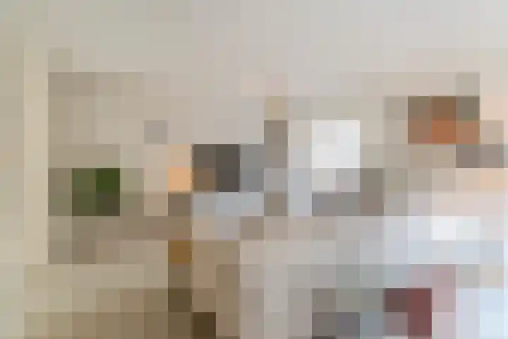 Van den Elsenstraat 20 Diessen thumbnail 4