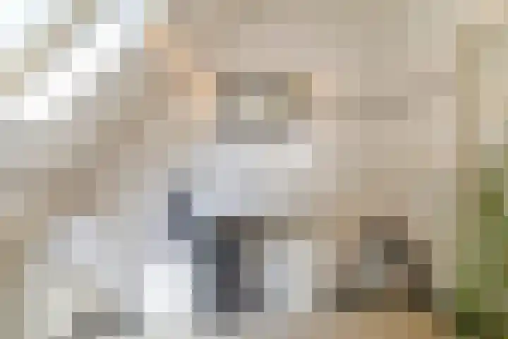 Van den Elsenstraat 20 Diessen thumbnail 40