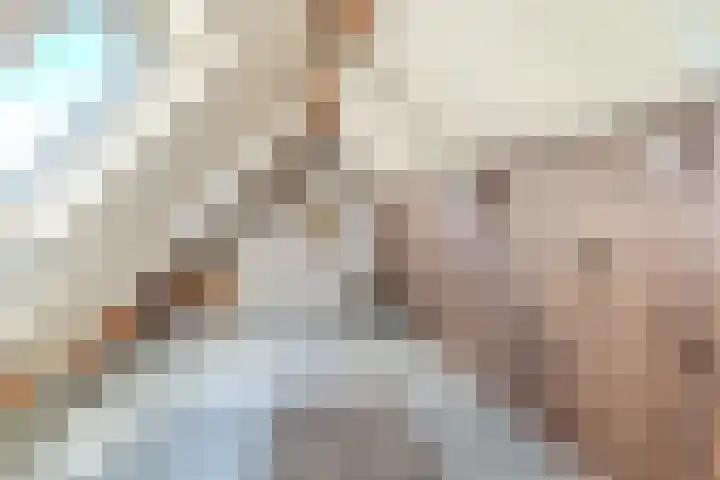 Van den Elsenstraat 20 Diessen thumbnail 41