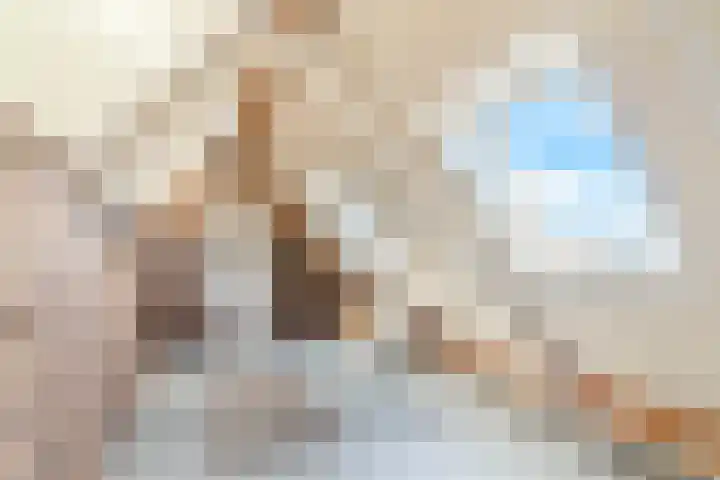 Van den Elsenstraat 20 Diessen thumbnail 42