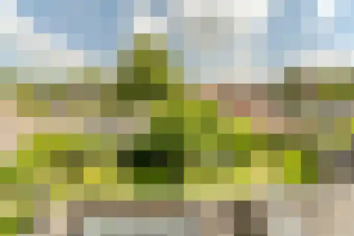 Van den Elsenstraat 20 Diessen thumbnail 43
