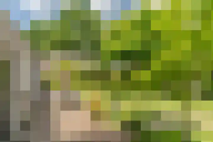 Van den Elsenstraat 20 Diessen thumbnail 44