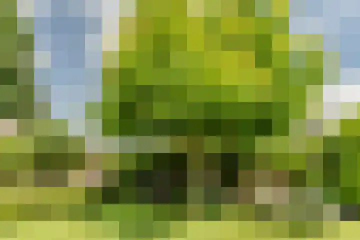 Van den Elsenstraat 20 Diessen thumbnail 45