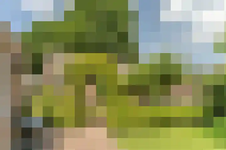 Van den Elsenstraat 20 Diessen thumbnail 46