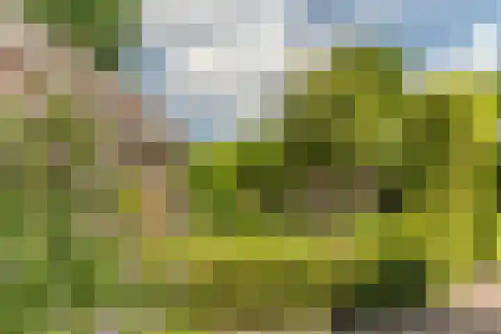 Van den Elsenstraat 20 Diessen thumbnail 47