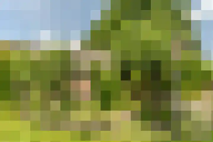 Van den Elsenstraat 20 Diessen thumbnail 48