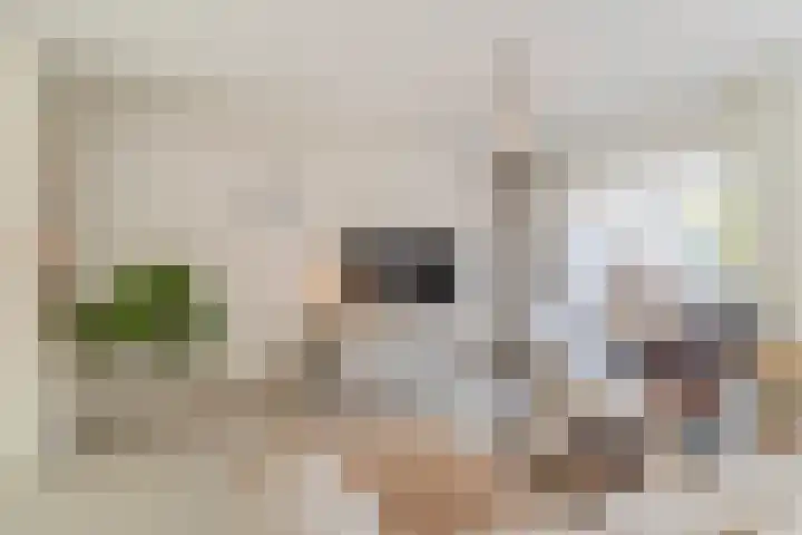 Van den Elsenstraat 20 Diessen thumbnail 5