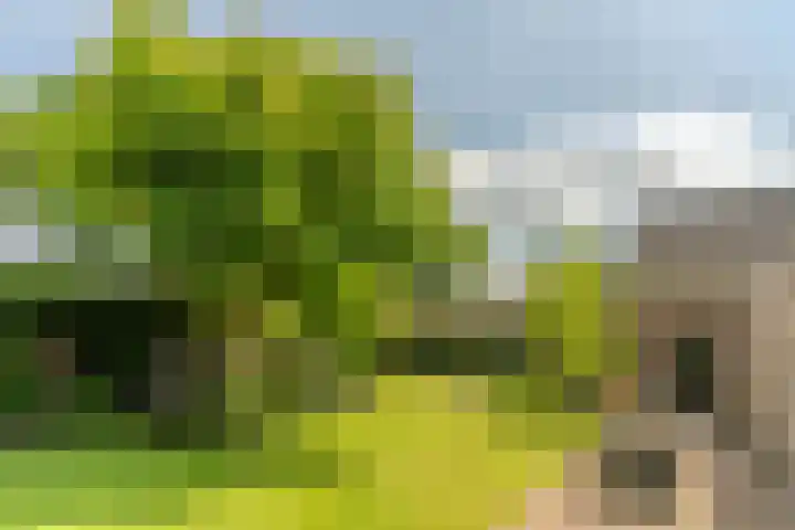 Van den Elsenstraat 20 Diessen thumbnail 50