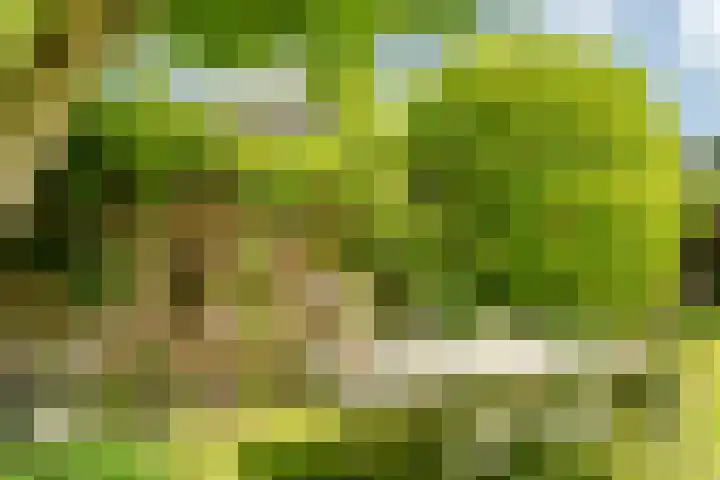 Van den Elsenstraat 20 Diessen thumbnail 51