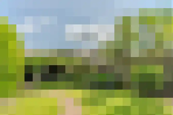 Van den Elsenstraat 20 Diessen thumbnail 52